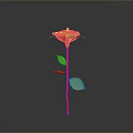 Single Red Rose Plant with Green Stem and Leaves on Gray Background