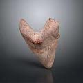 Fossilized Triangular Tooth With Brown Red Texture And Glossy Base On Dark Background