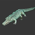 Lifelike Crocodile Figure With Detailed Scaly Skin On Dark Reflective Surface