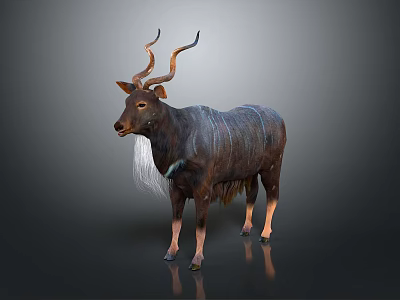 Antelope With Long Curved Horns Dark Textured Fur And White Neck Hair Standing Gracefully 3d model