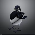 Cartoon Black And White Bird With Large Eyes Standing On Gray Background