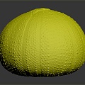 Modern sea urchin sea urchin shell 3d model