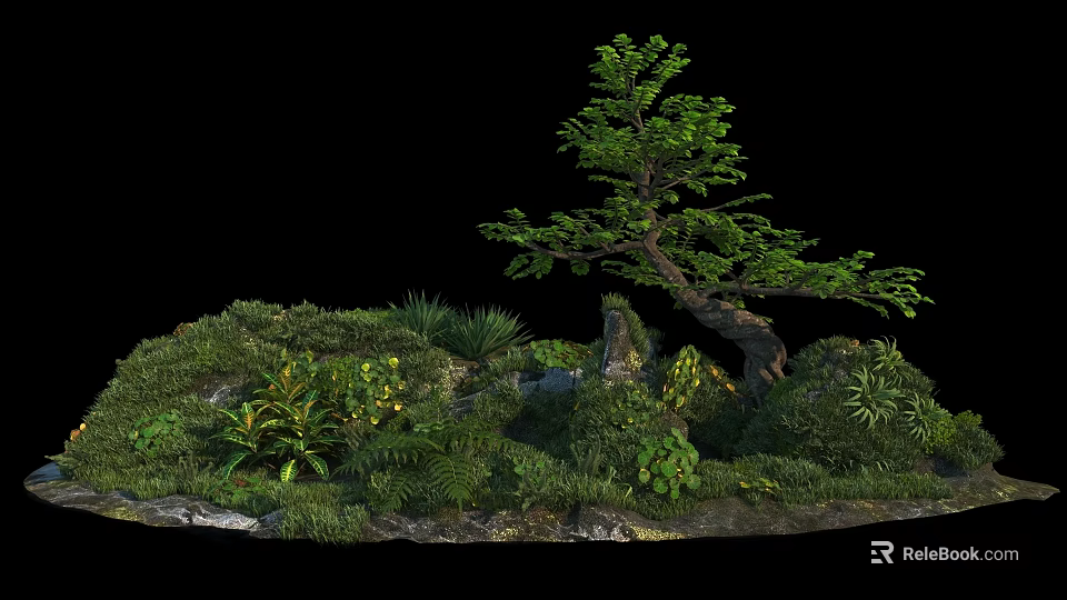 Lush Green Shrub In Natural Garden Landscape With Ferns Rocks And Moss 3d model 