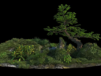 Lush Green Shrub In Natural Garden Landscape With Ferns Rocks And Moss 3d model