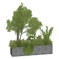 Lush Green Leafy Bonsai Potted Plants In Gray Planter With Mixed Foliage