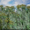 Lush Bush with Yellow Flowers and Green Leaves Under Blue Sky White Clouds and Trees