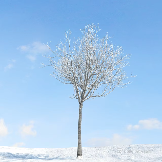 Bare Arbor With Frost Covered Branches Against Blue Sky And White Clouds 3d model 