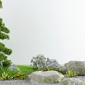 Natural Courtyard Garden with Green Tree Lush Grass Decorative Rocks and Small Plants