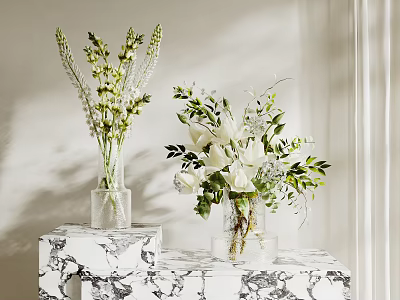 Transparent Glass Vases with White Flowers and Green Leaves on Marble Tabletop in Bright Room 3d model