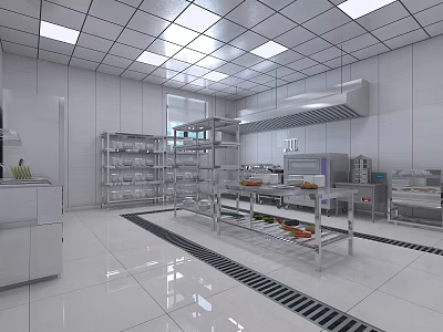 Commercial Catering Kitchen With Stainless Steel Worktables Metal Shelves Range Hood And Bright Lighting 3d model