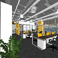 Modern Public Office Space With Open Layout Yellow Partitions Desks Office Chairs And Green Plants