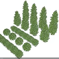 Various Types of Green Shrubs Including Conical Round and Hedge Shapes for Landscaping