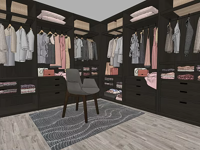 Well Organized Walk-in Closet With Hanging Clothes Drawers Folded Garments Chair And Rug 3d model
