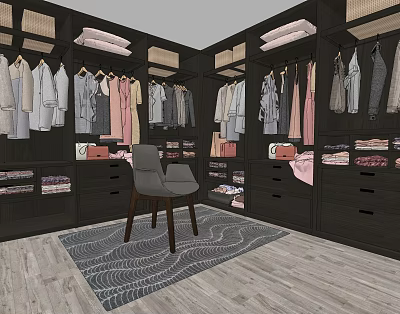 Well Organized Walk-in Closet With Hanging Clothes Drawers Folded Garments Chair And Rug 3d model