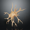 3D Model of Biological Neuron with Dendritic Branches and Organ Structure 3d model