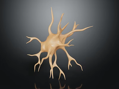 3D Model of Biological Neuron with Dendritic Branches and Organ Structure 3d model