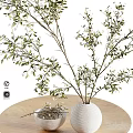White Vase with Green Leafy Branches Displayed on Wooden Table Against White Background