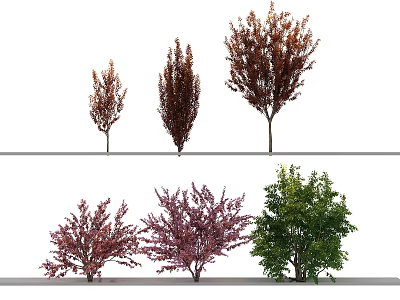 Diverse Arbor Trees with Colorful Foliage in Different Sizes and Types 3d model