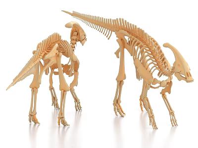Dinosaur Skeleton Decorative Ornament Set With Two Standing Figurines for Home 3d model