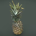 Fresh Juicy Ripe Pineapple Tropical Fruit With Green Leaves Isolated On Dark Background