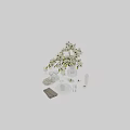 Elegant Tableware Set With White Orchids Transparent Glassware Tray And Candle Holders