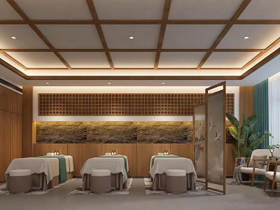 Beauty Hair Salon Interior With Treatment Beds Wooden Decor And Green Plants 3d model