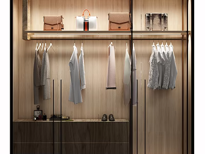 Modern Wardrobe Interior Design With Hanging Clothes Bags On Shelf And Shoes 3d model