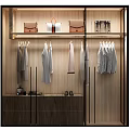 Modern Wardrobe Interior Design With Hanging Clothes Bags On Shelf And Shoes