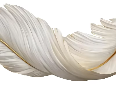 White Feather Decorative Ornament With Golden Lines And Soft Curved Shape 3d model