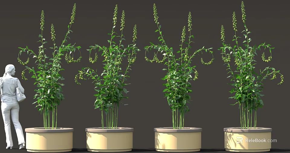 Green Potted Plants With Tall Stems Green Leaves And Light Colored Pots 3d model 