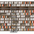 Modern Bookcase Interior Design With Multilayer Shelves Metal Ladder And Colorful Books