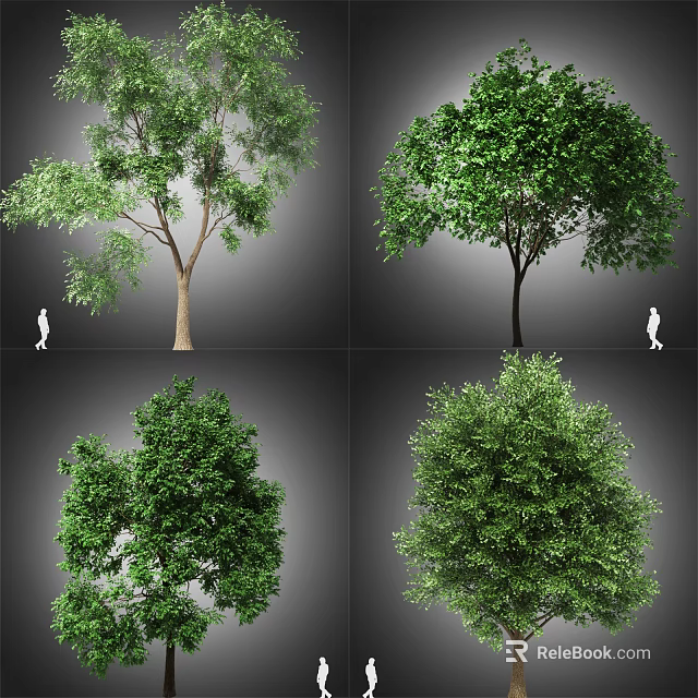 Various Arbor Trees With Green Foliage And Different Crown Shapes With Human Figure For Scale 3d model 