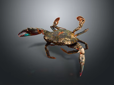 Colorful Clawed Crab Aquatic Animal Sculpture With Detailed Shell And Metallic Finish 3d model