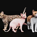 Cat Combo 3d model