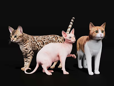 Three Different Cats With Leopard Print Hairless And Brown White Fur Patterns 3d model