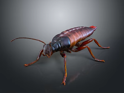 Brown and Black Cockroach With Long Antennae and Legs on Gray Background 3d model