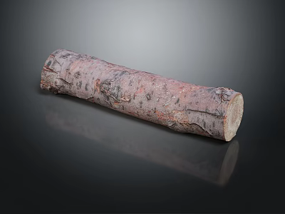 Natural Rustic Wood Log Showcasing Authentic Bark Texture And Cylindrical Shape 3d model