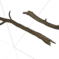 Natural Stone Wood Branches with Dried Texture and Rustic Shape on White Background 3d model