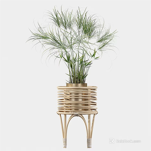Potted Bonsai Plant With Slender Leaves In Woven Stand Design For Home Decor 3d model 