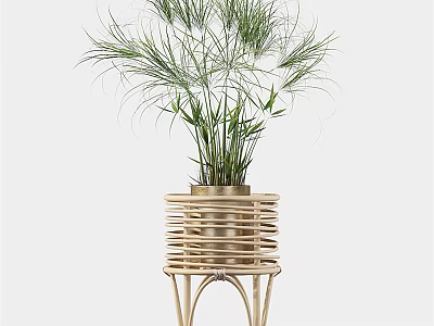 Potted Bonsai Plant With Slender Leaves In Woven Stand Design For Home Decor 3d model