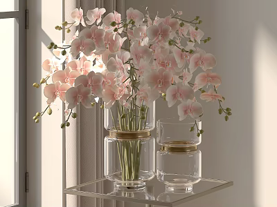 Elegant Pink Orchid Flowers In Clear Glass Vases On Glass Shelf By Window 3d model