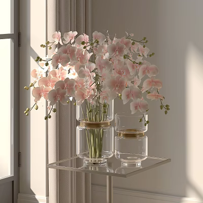 Elegant Pink Orchid Flowers In Clear Glass Vases On Glass Shelf By Window 3d model