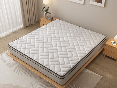 Modern Mattress model