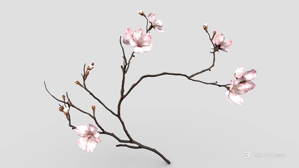 Pink Flowering Branch With Blooming Blossoms And Small Flower Buds On Gray Background 3d model 