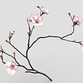 Pink Flowering Branch With Blooming Blossoms And Small Flower Buds On Gray Background