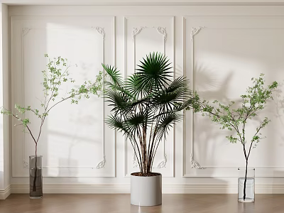 Indoor Bonsai Potted Plants With Palm Like Leaves And Glass Vases On Wooden Floor 3d model