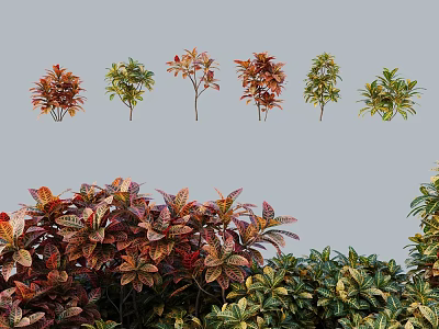 Colorful Various Types of Shrubs for Garden Landscaping and Outdoor Decor 3d model