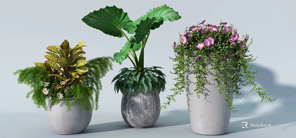 Varied Bonsai Potted Plants With Large Leaves Pink Flowers And Variegated Foliage In Gray Pots 3d model 