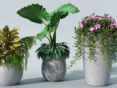 Varied Bonsai Potted Plants With Large Leaves Pink Flowers And Variegated Foliage In Gray Pots 3d model