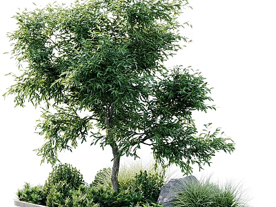 Lush Green Shrub With Dense Foliage Surrounding Plants And Garden Stone 3d model